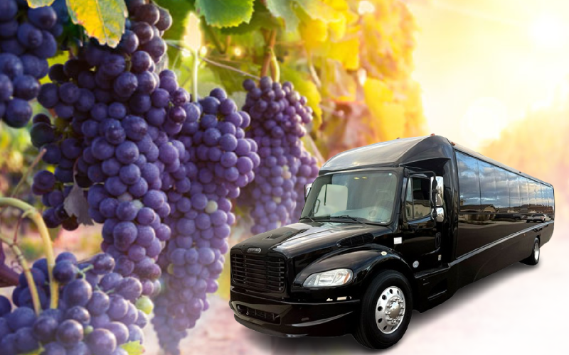 wine tour limo